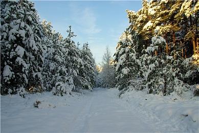 “周促不停！Quantic Dream游戏史低不断”